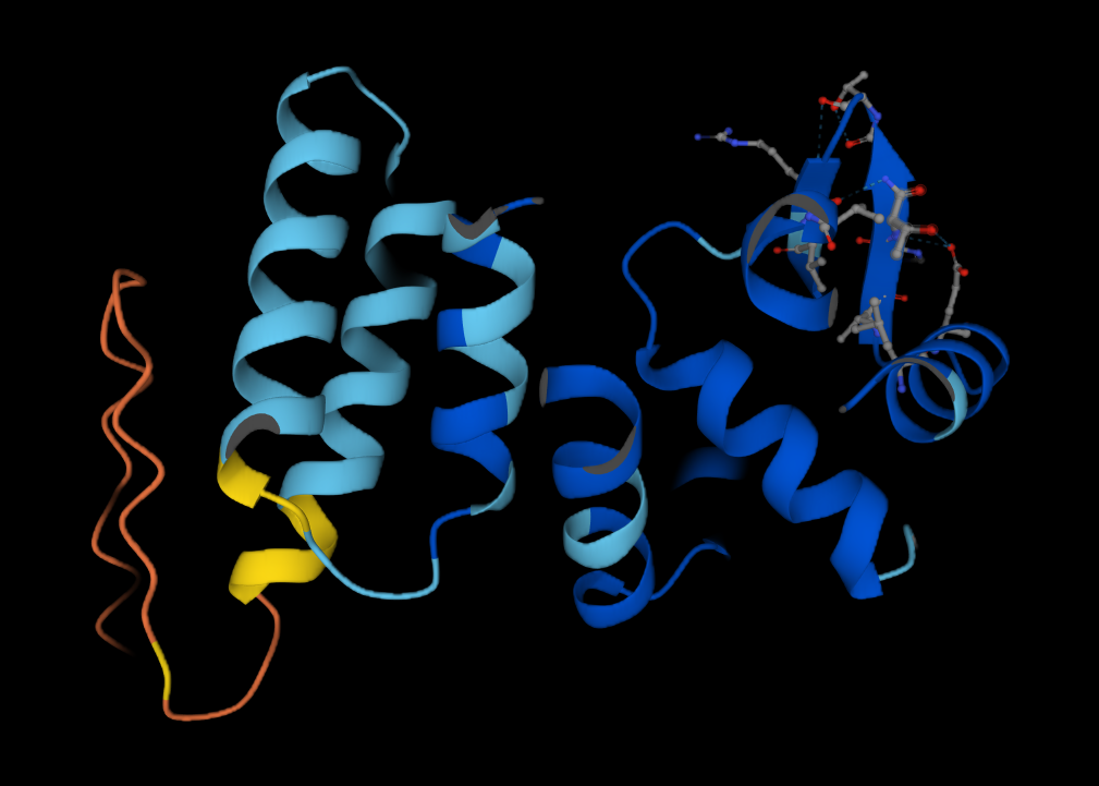 Molecular rendering of the C05 antibody protein complex